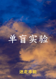 单盲面试的成绩是怎么统计的
